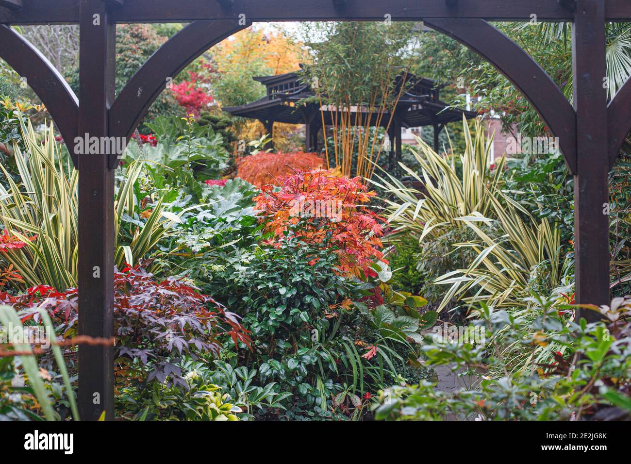 Vue à travers l'arche orientale jusqu'au salon de thé japonais dans le Jungle' au four Seasons Garden fin octobre Banque D'Images