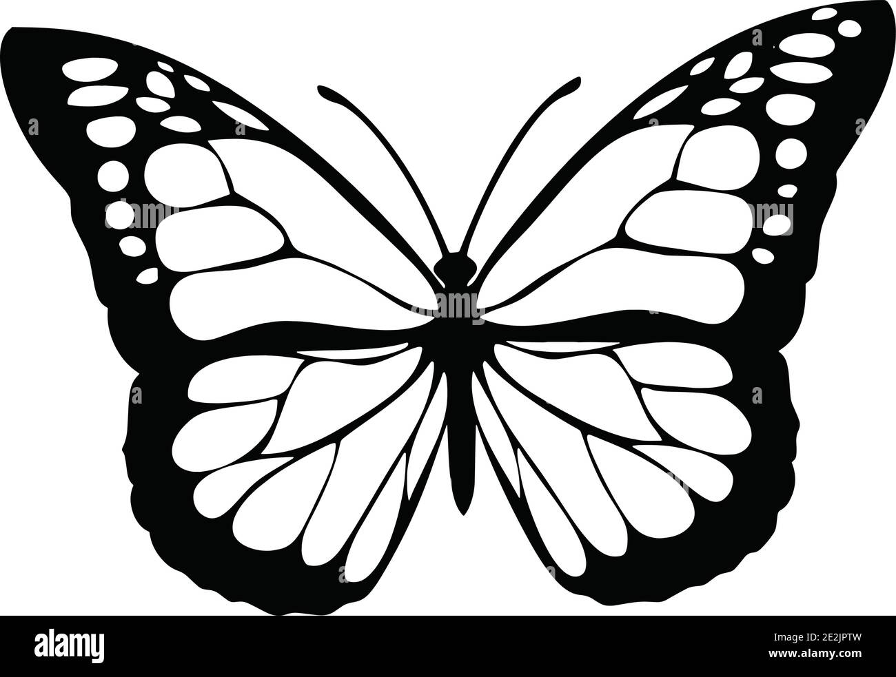 Vecteur papillon - Clipart papillon Illustration de Vecteur