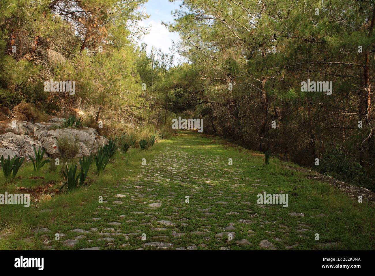 Ancien chemin de randonnée de Lycia. Randonnée pédestre. Banque D'Images