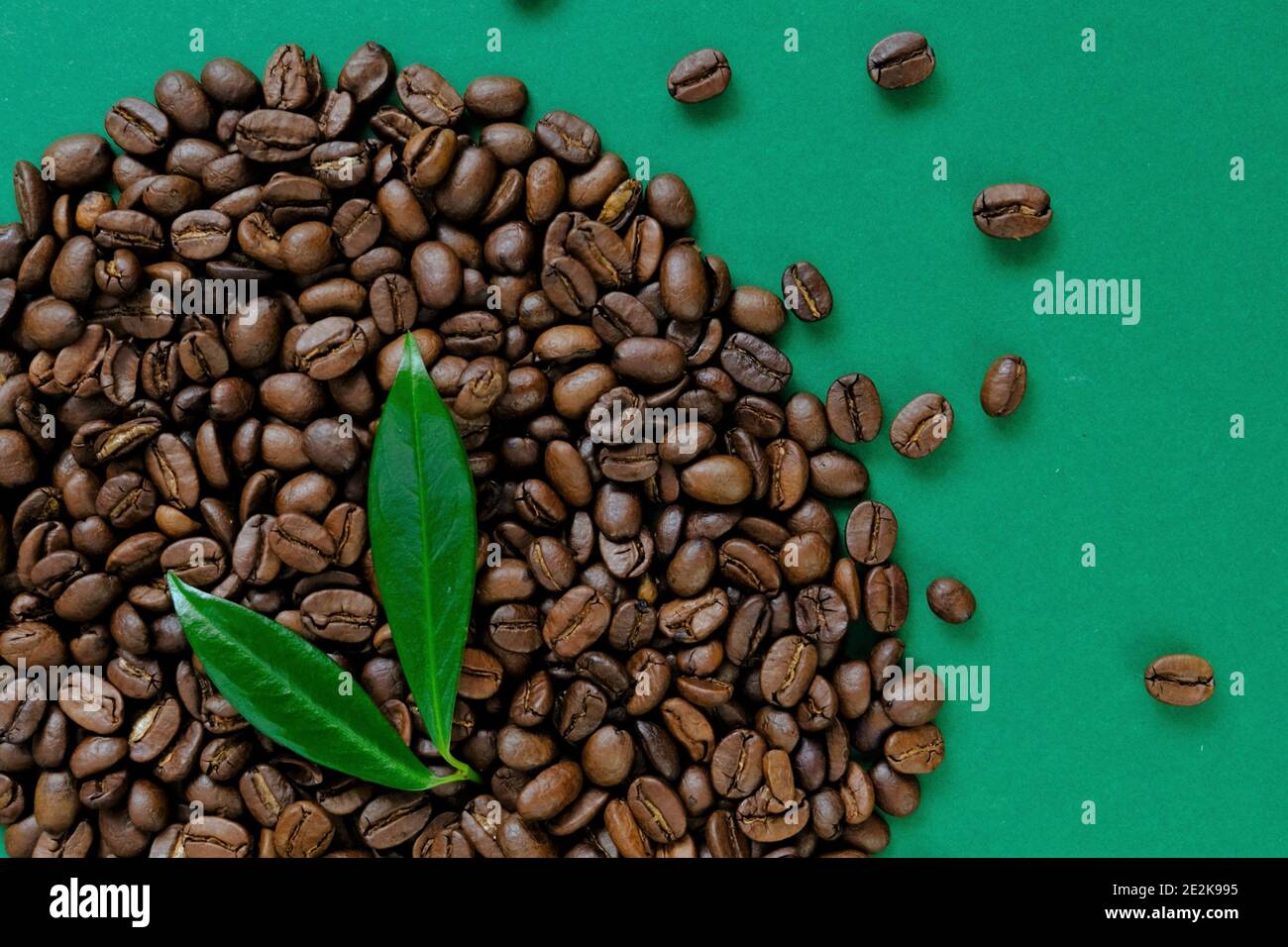 Grains de café et feuille verte sur fond vert. Café pur naturel biologique.décor à la bordure du café.grains de café torréfiés Banque D'Images