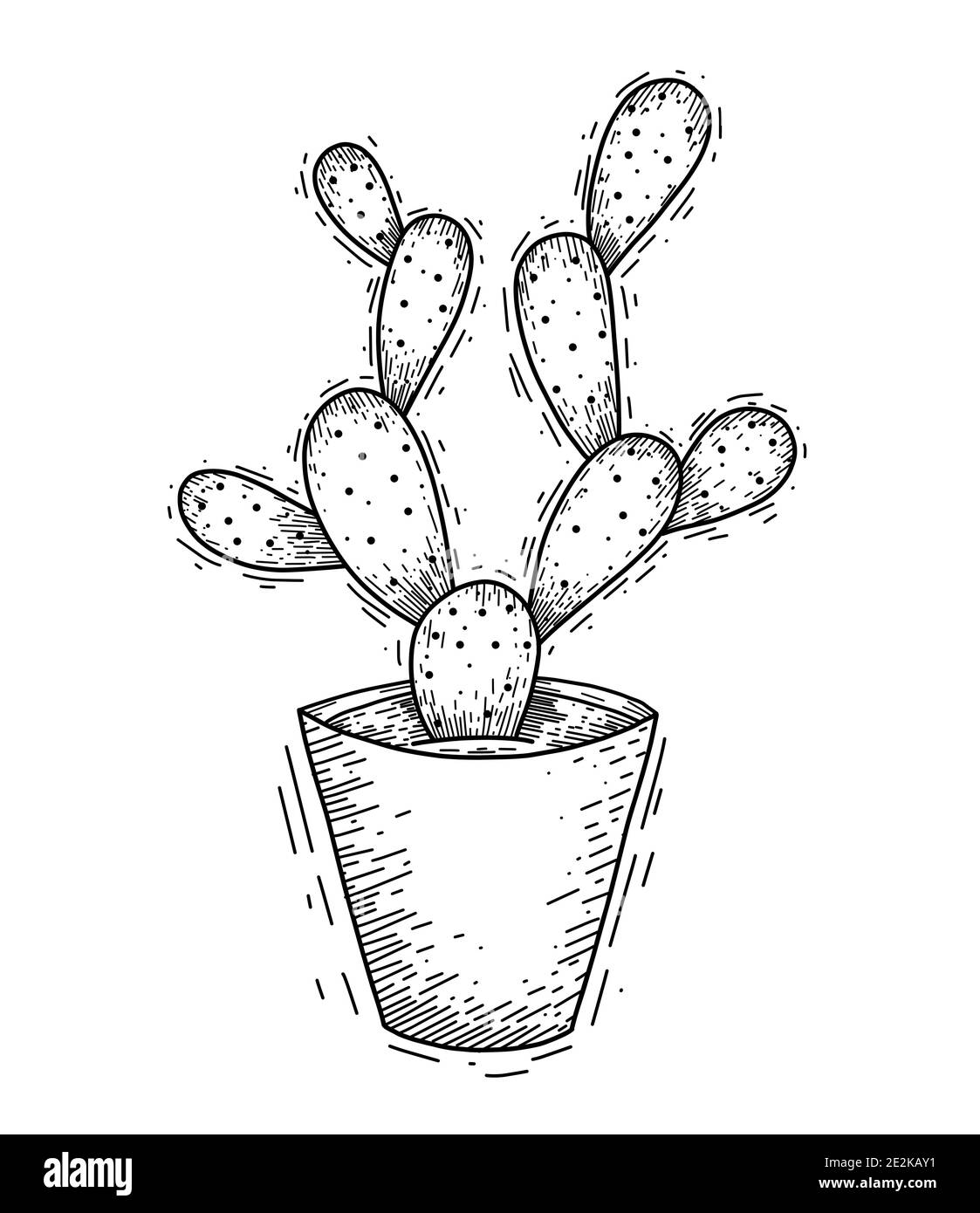 Illustration du contour du cactus succulent dans un pot avec des aiguilles à hachurer. Image gravée d'une plante de maison pour la décoration intérieure. Esquisse vectorielle Illustration de Vecteur