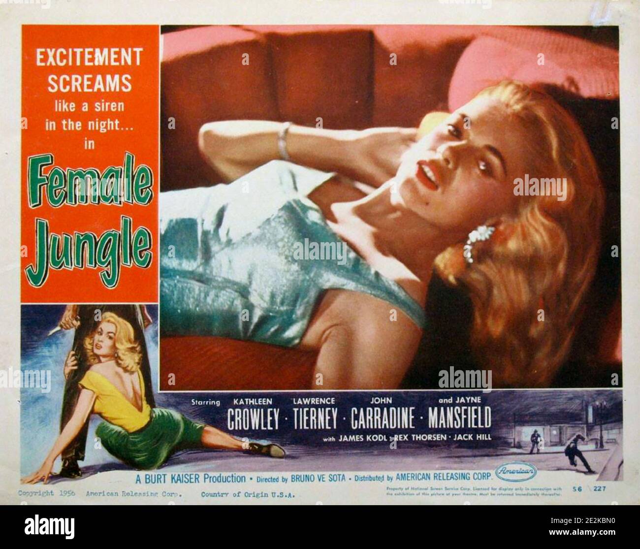 FILM FÉMININ JUNGLE 1955 ARC avec Jayne Mansfield. Le film a été tourné en six jours et Mansfield aurait été payé $150 pour son rôle comme Candy Price. Banque D'Images