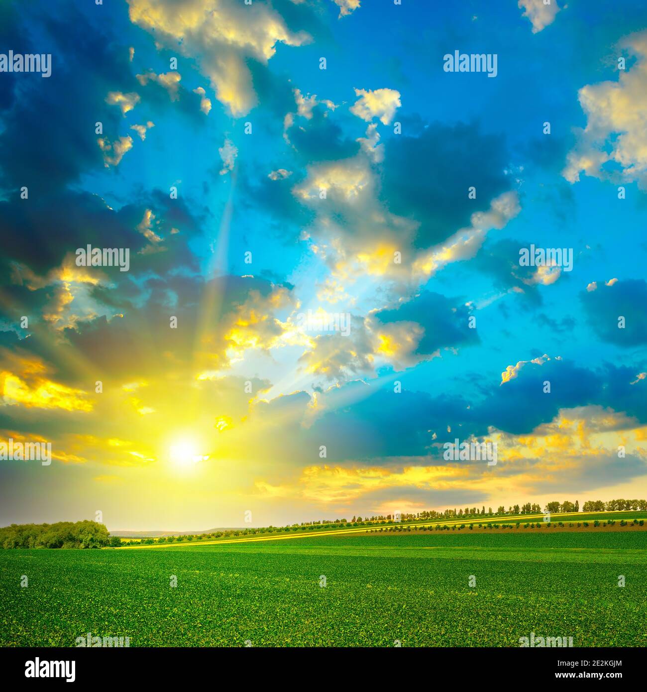 Un ciel fantastique et lumineux sur un champ de ferme vert. Banque D'Images