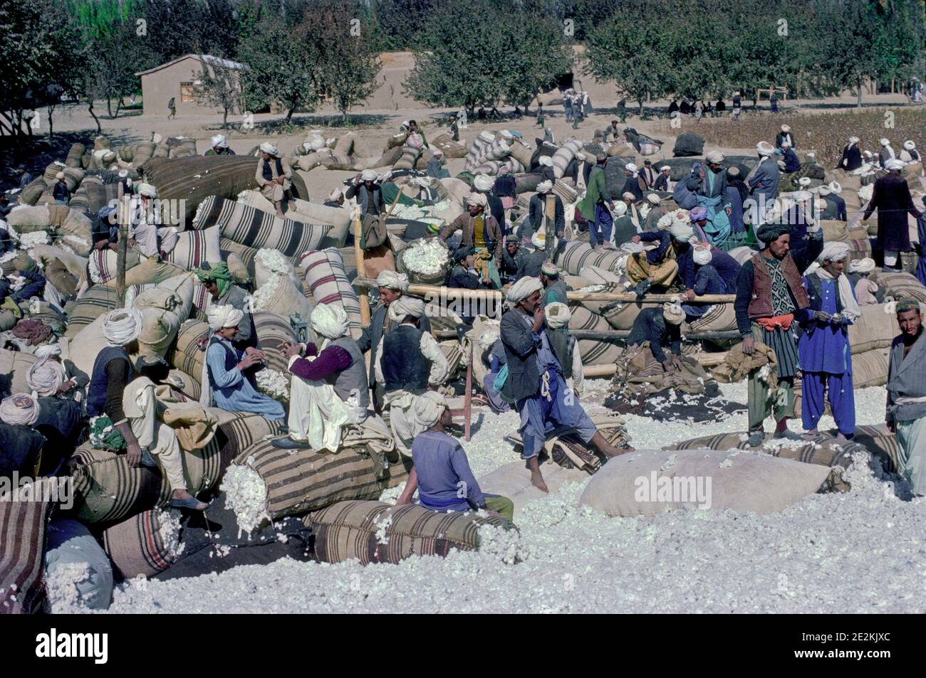 Marché du coton Nord de l'Afghanistan Banque D'Images