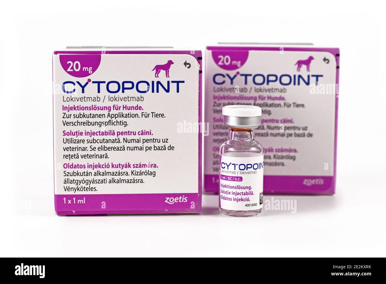 Des sacs et un flacon de médecine animale appelé 'Cytopoint' contenant un monoclonal anticorps lokivetmab pour le traitement des chiens souffrant d'allergies et de démangeaisons cutanées Banque D'Images