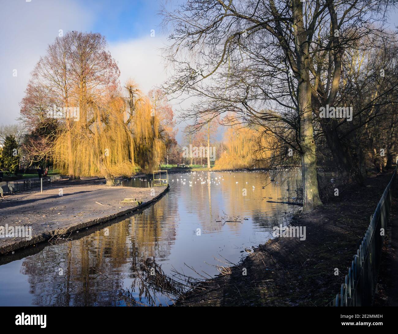 Lac tranquille dans le parc Wardown Luton en période pandémique COVID-19. Banque D'Images