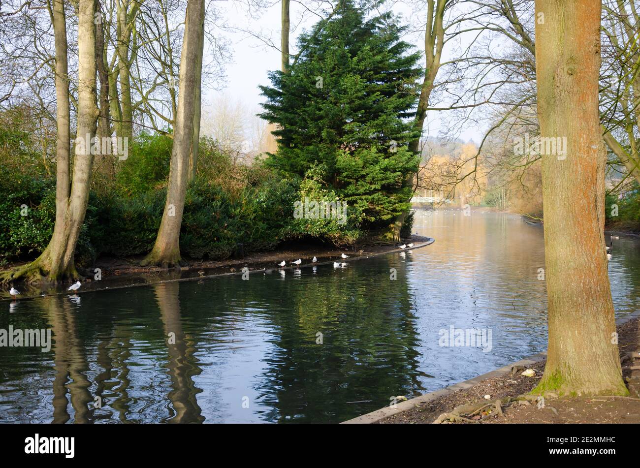 Magnifique lac à Wardown Park Luton, Angleterre Banque D'Images