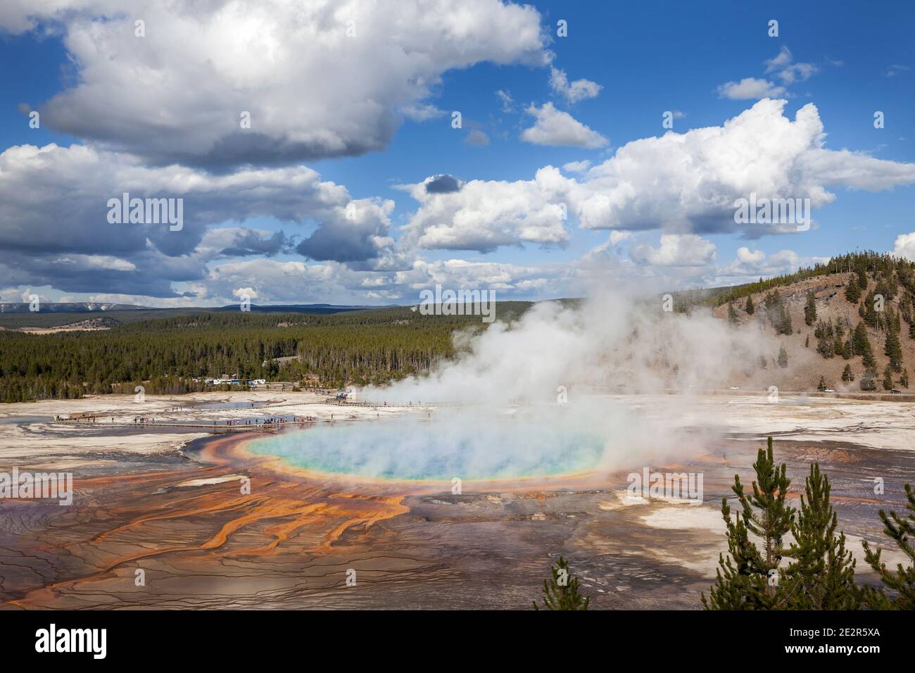 WY02836-00...WYOMING - Grand Prismatic Spring dans le bassin Geyser Midway du parc national Yelleostone. Banque D'Images