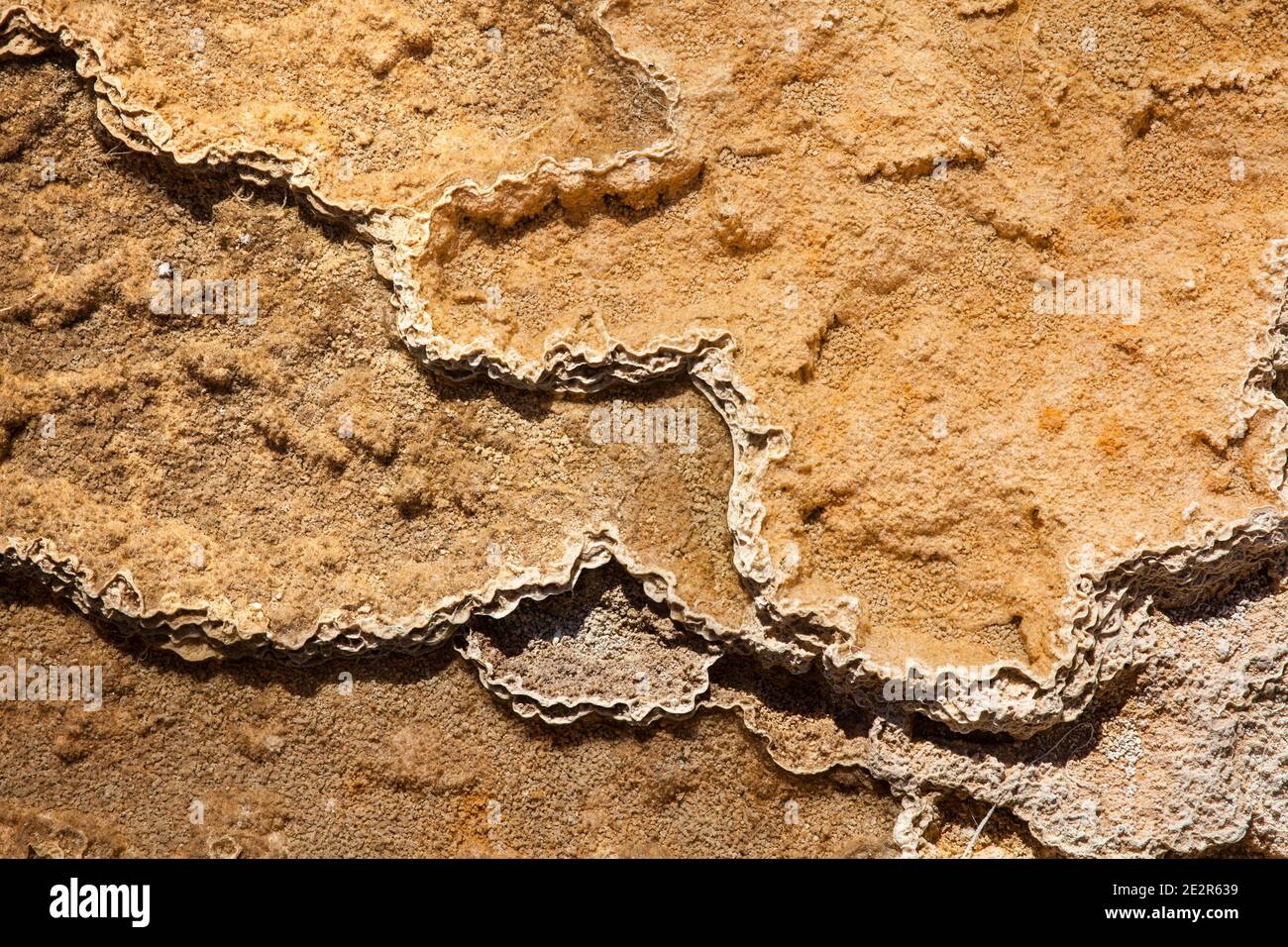 WY02857-00...WYOMING - motifs dans les terrasses inférieures à Mammoth Hot Springs dans le parc national de Yellowstone. Banque D'Images