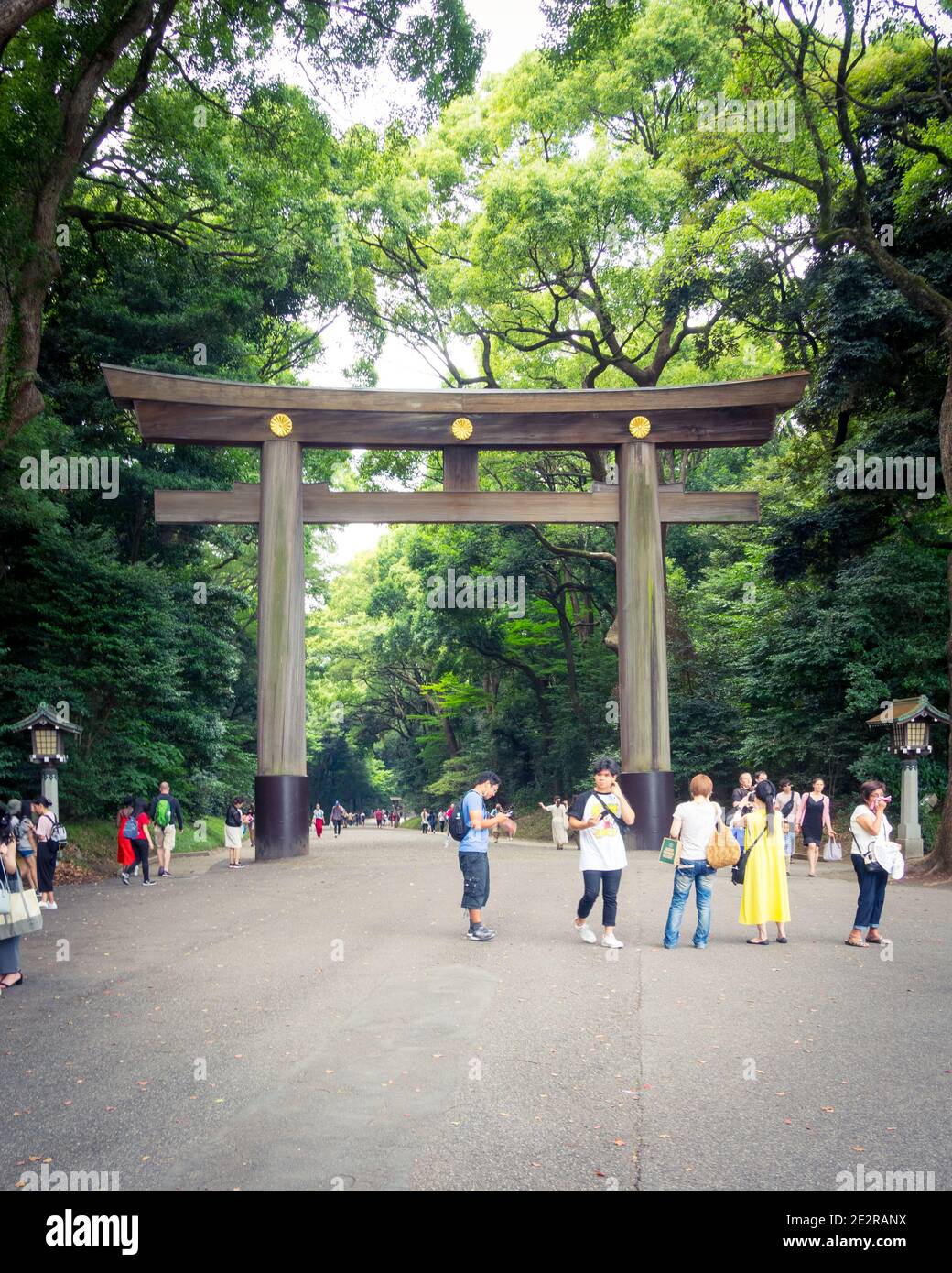 Porte torii du sanctuaire meiji dans le parc yoyogi Banque de photographies et d’images à haute