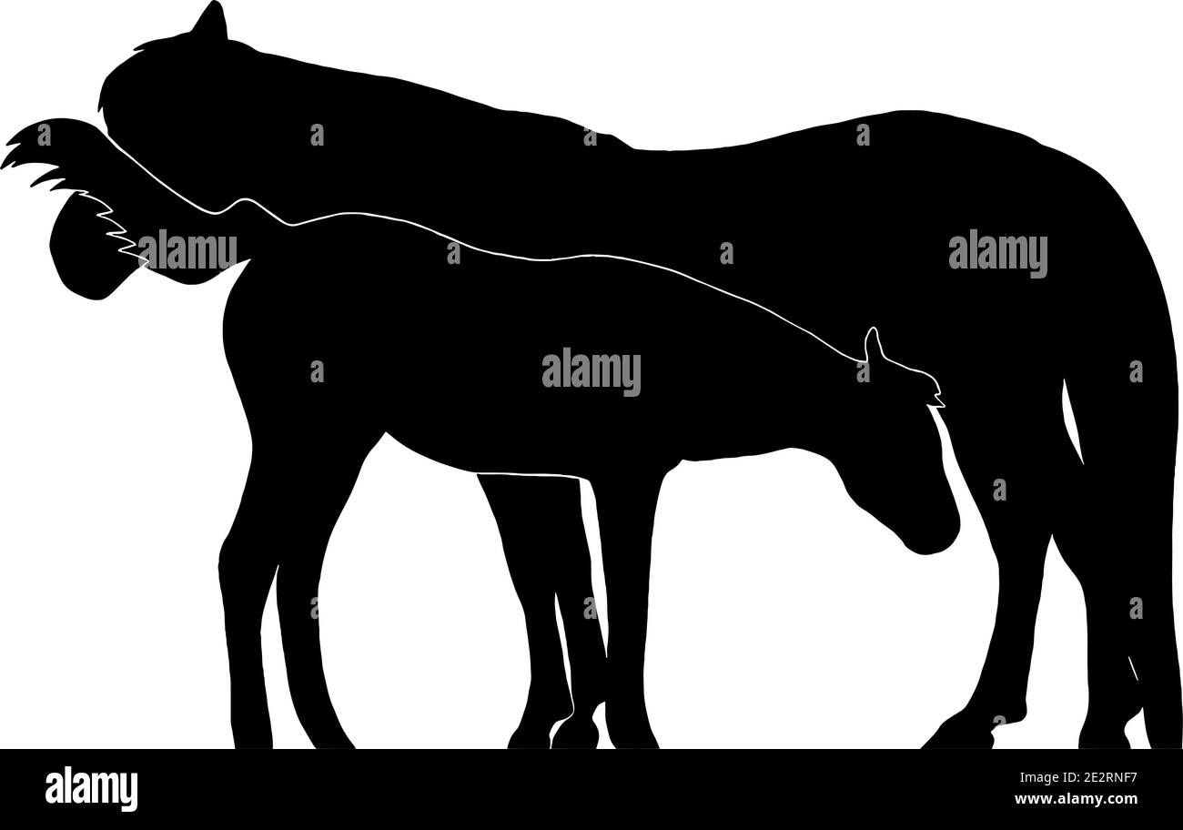 Silhouette Mare et Foal en noir sur fond blanc Illustration de Vecteur