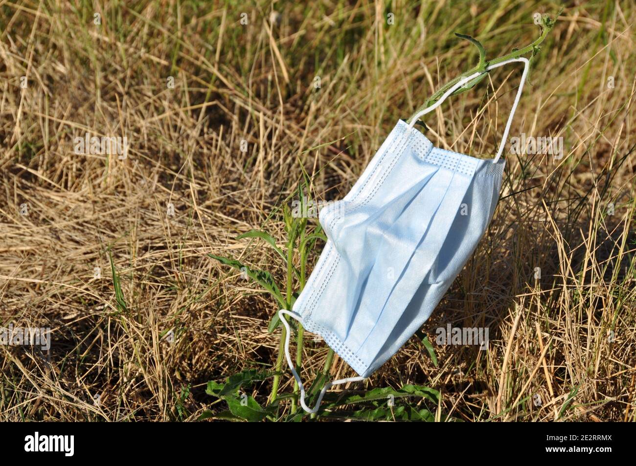 Masque jetable jeté dans un fossé à côté d'une route. Banque D'Images