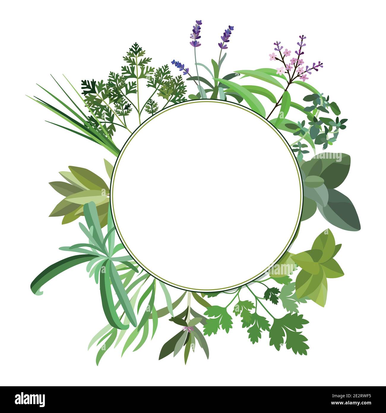 Cadre avec des herbes fraîches et des épices. Bannière avec feuilles et herbe. Éléments à motif fleuri plat. Illustration vectorielle. Illustration de Vecteur