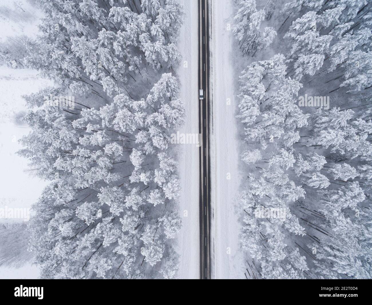 Forêt enneigée de conifères d'hiver avec une route d'asphalte noire. Photographie de la nature. Vue de dessus en paysage depuis une vue plongeante Banque D'Images