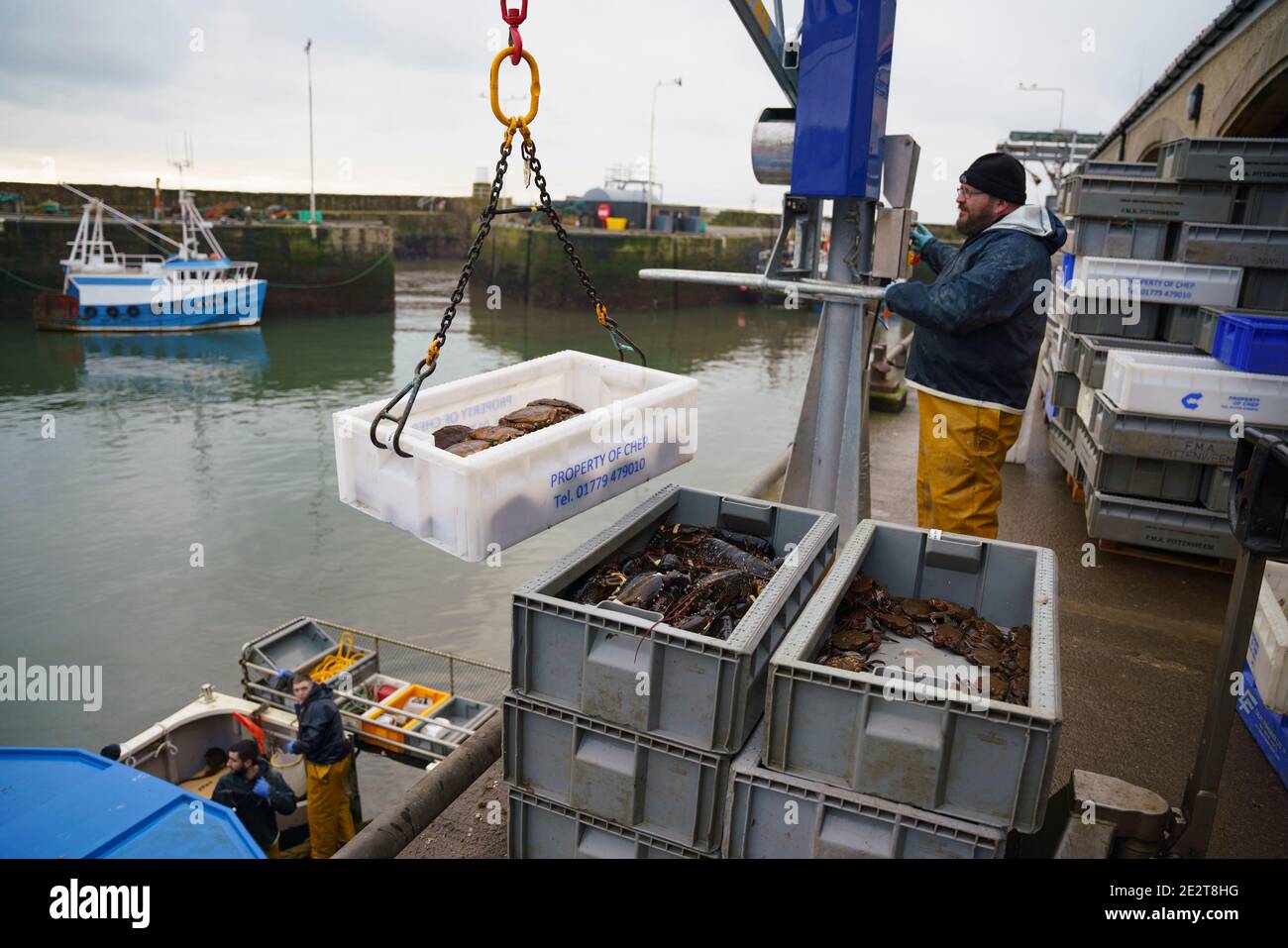 Pittenweem, Écosse, Royaume-Uni. 15 janvier 2021. Des crustacés frais, du crabe et du homard ont débarqué ce matin au port de Pittenweem à Fife. Le pêcheur Nick Irvine a deux bateaux qui attrape des mollusques, des crevettes, du crabe de velours, du crabe brun et du homard. Une grande partie de ses prises est exportée vers l'Asie et est occupée à cette période de l'année en raison de la prochaine nouvelle année chinoise qui augmente la demande et les prix. Cela a contribué à compenser les problèmes d'exportation vers l'UE en raison de nouvelles réglementations. Iain Masterton/Alay Live News Banque D'Images