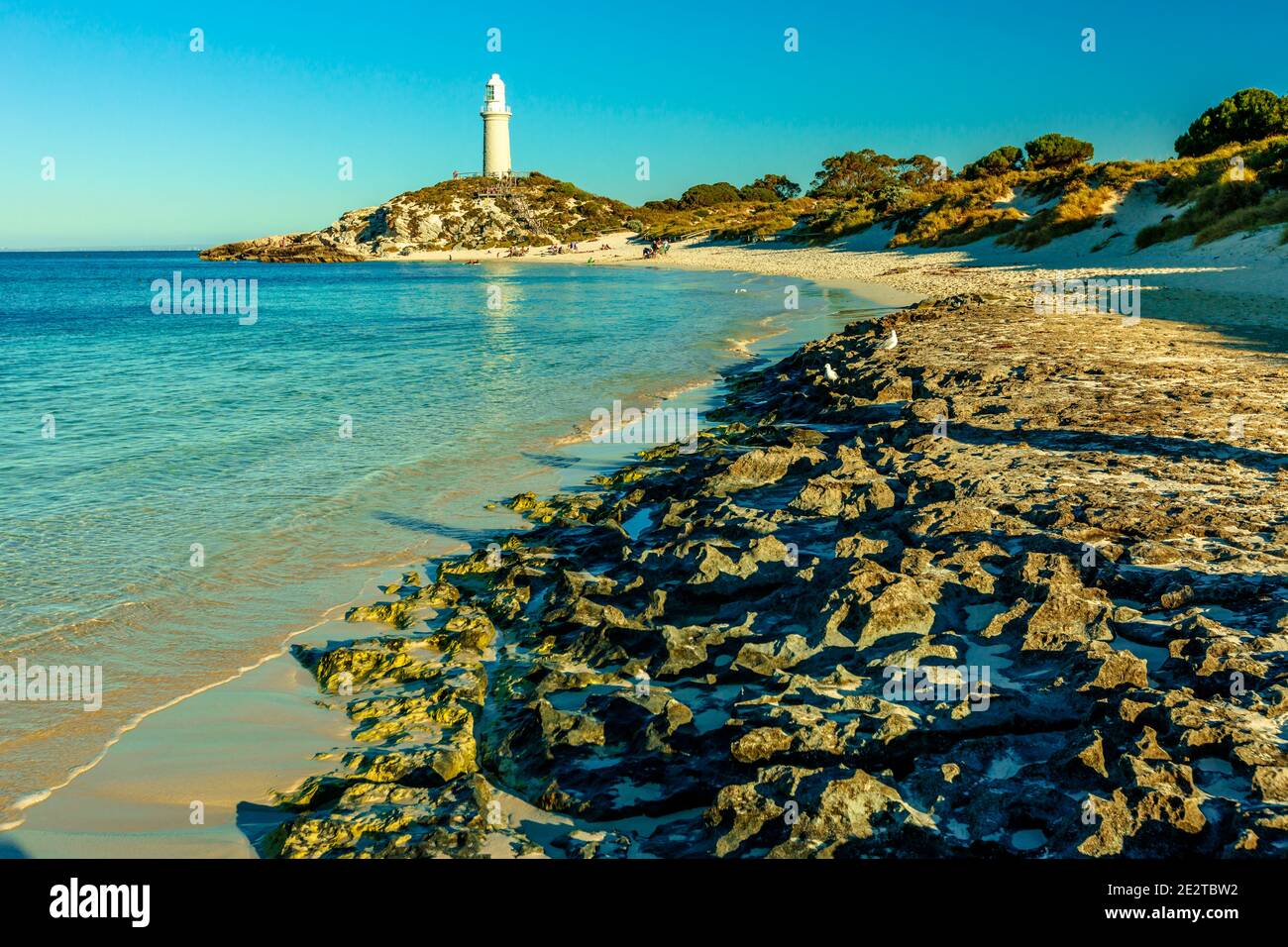 La magnifique plage de Pinky et le phare de Bathurst se reflètent sur la mer turquoise en fin d'après-midi. Côte nord de l'île Rottnest, près de Perth, ouest Banque D'Images