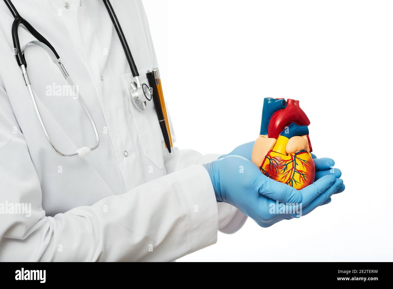 soutien médical à la santé cardiaque humaine. Cardiologue portant un manteau médical tenant un modèle anatomique de coeur humain dans les mains. Isolé sur blanc Banque D'Images