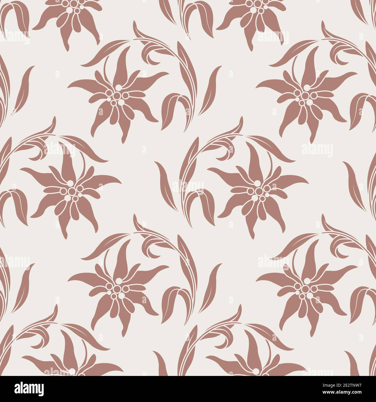 Edelweiss. Motif botanique avec fleurs edelweiss. Motif basé sur le logo  Image Vectorielle Stock - Alamy