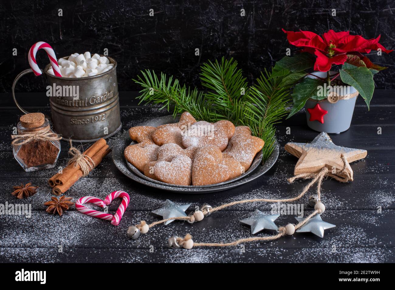 Photographie de Noël avec pain d'épice, fleur de Noël, mug avec guimauves Banque D'Images