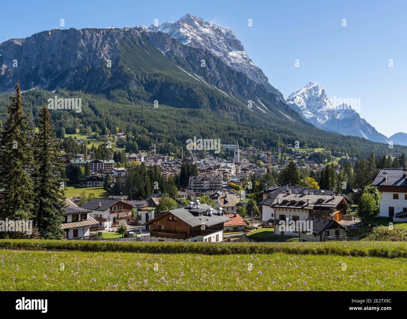 Cortina d'Ampezzo, Italie - 8 octobre 2020 : la ville de Cortina d'Ampezoo avec des montagnes et des fleurs enneigées, crocus d'automne, en premier plan. Banque D'Images
