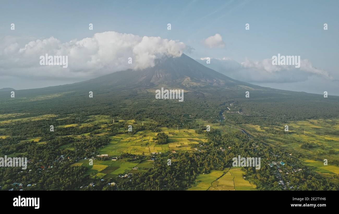 Éruption volcanique à l'antenne verte de la vallée tropicale. Mayon Mount à l'incroyable paysage de la nature de personne. Prairie de verdure avec plantes tropiques, herbes, arbres. Tir de drone de brume cinématographique Banque D'Images