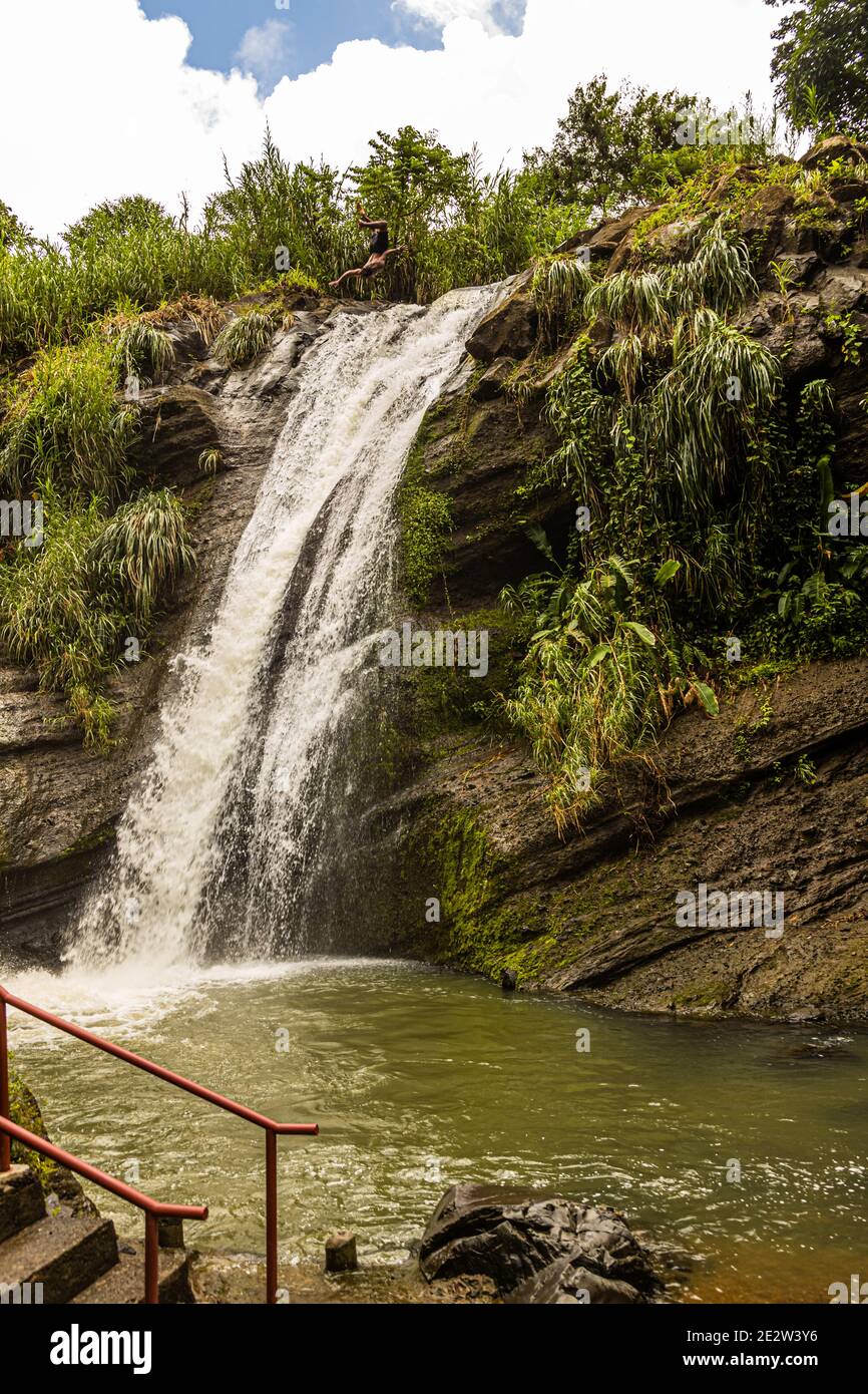 Plongeurs de falaise à la chute d'eau de Concord à la Grenade Banque D'Images