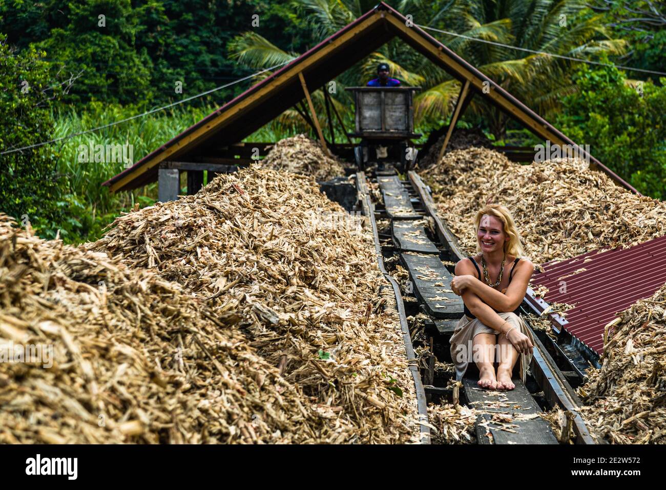Antoine Rivières Distillerie de Rhum, Saint Patrick, la Grenade Banque D'Images