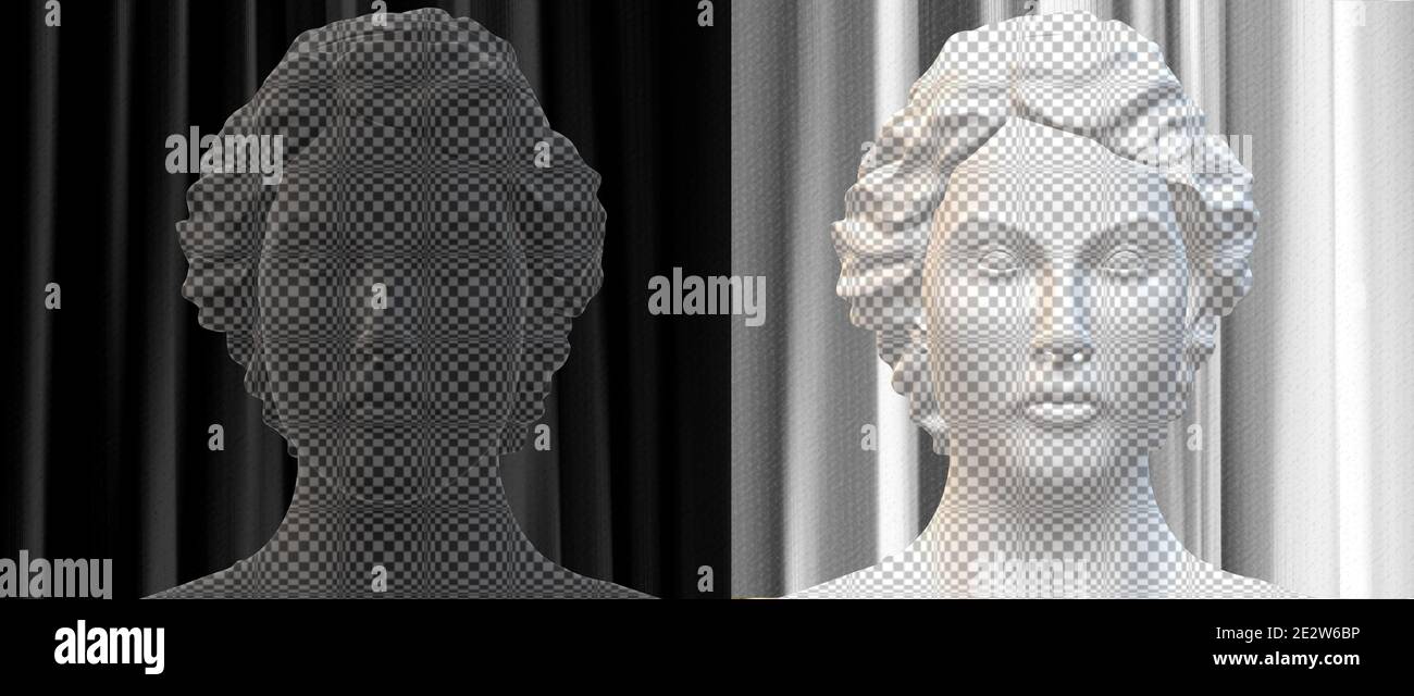 Psychologie, neurologie, trouble de la personnalité divisée et concept de santé mentale. Trouble de l'humeur bipolaire mental. Double face. 2 silhouette de la tête en merde Banque D'Images