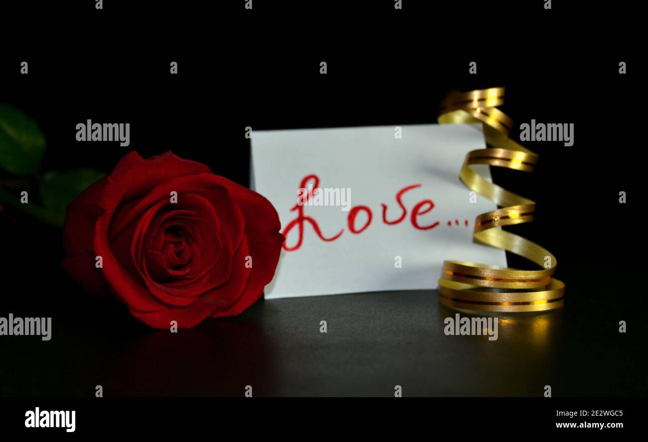 Rose rouge, inscription d'amour, ruban doré sur fond noir. Contexte de la Saint-Valentin. Touche Bas Banque D'Images