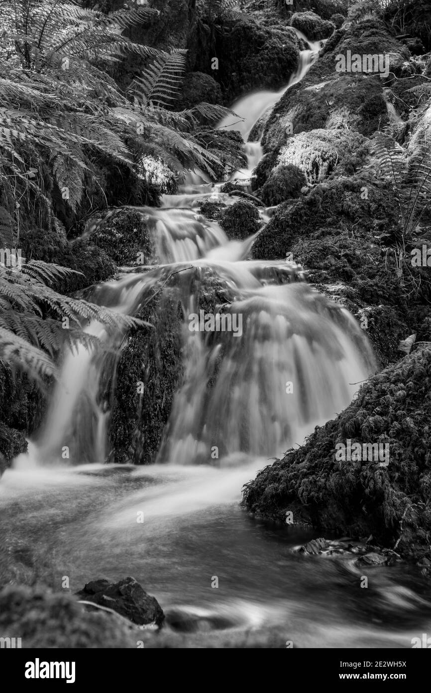 Longue exposition d'une cascade qui coule à travers les bois à Chutes Canonteign à Dartmoor Banque D'Images