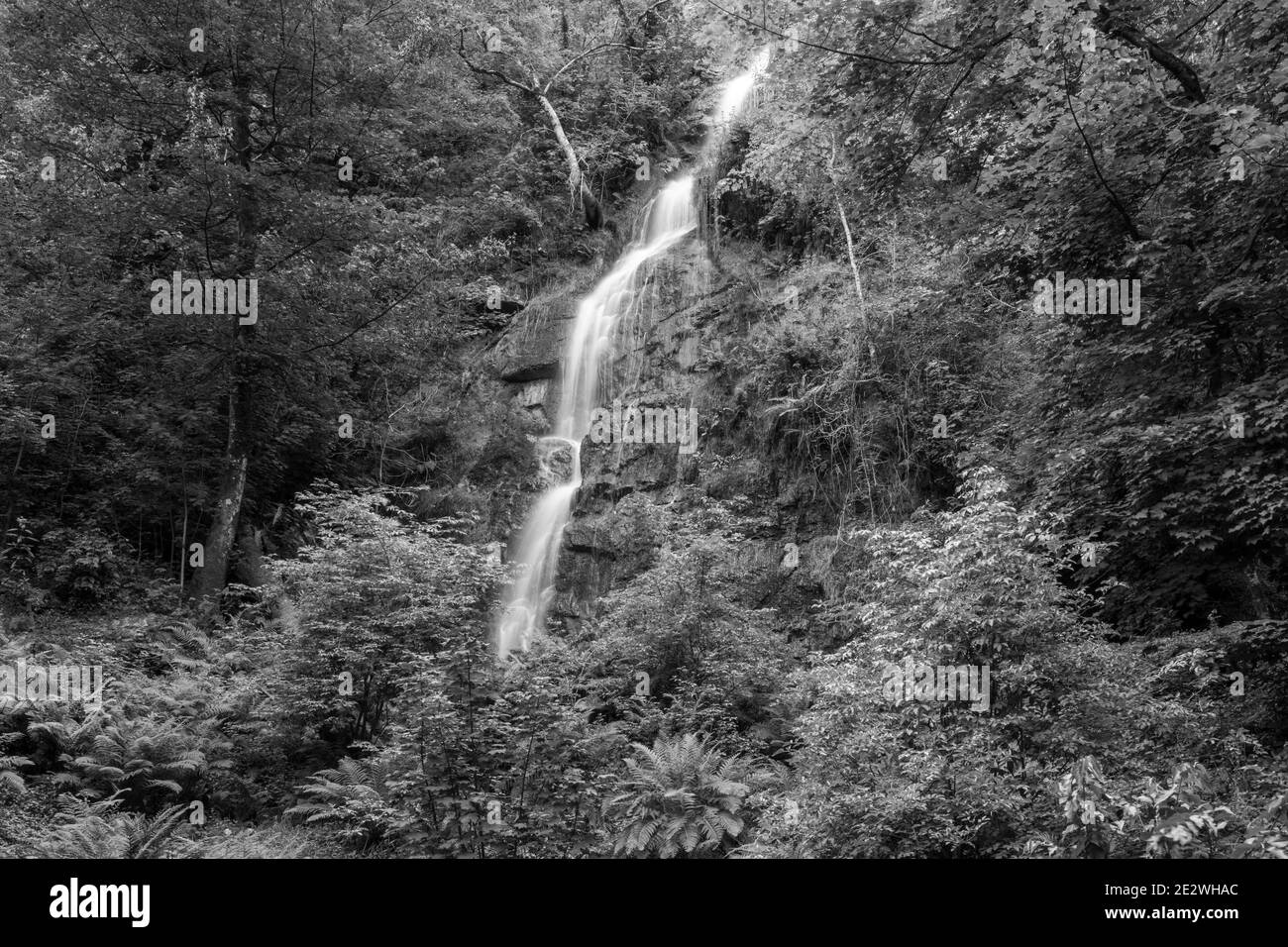 Longue exposition de la cascade qui coule au-dessus de la falaise à Chutes Canonteign à Dartmoor Banque D'Images