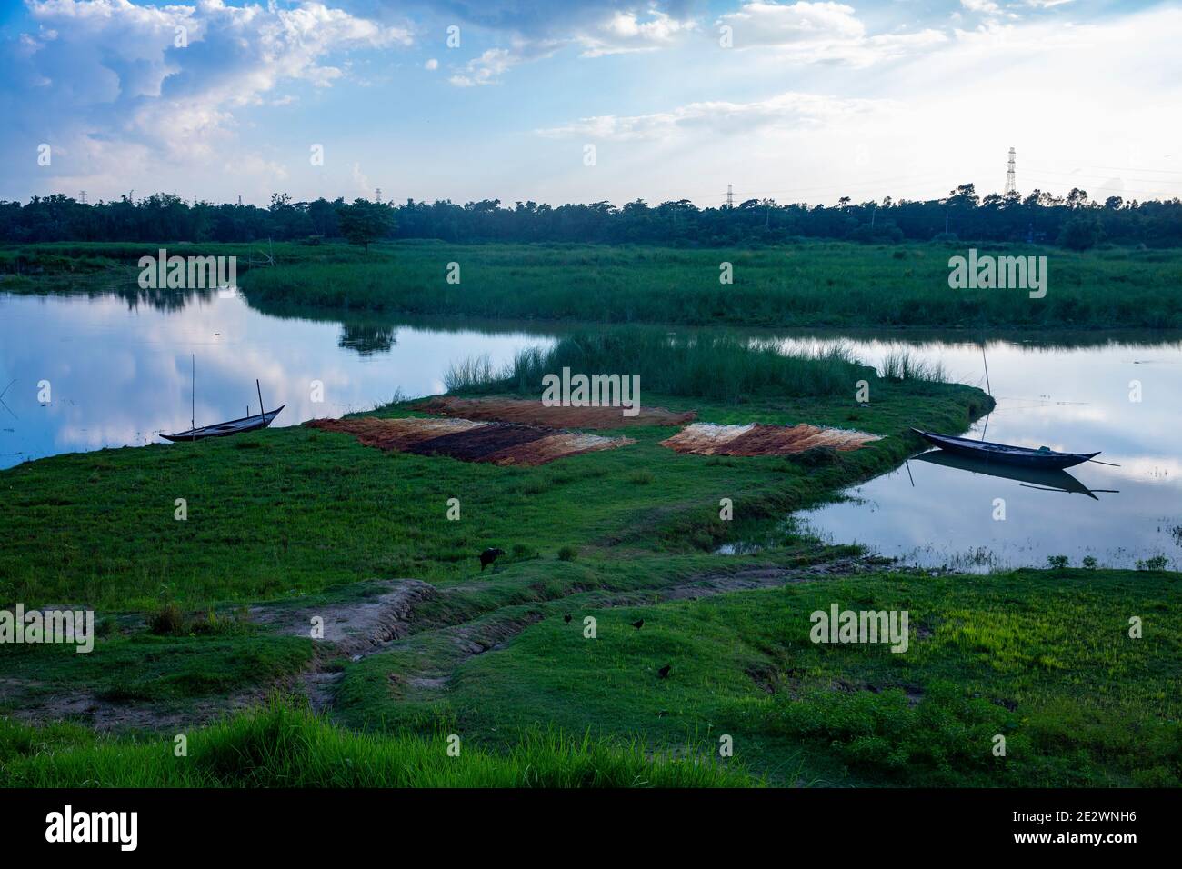Pêche séchée à côté d'un plan d'eau à Chandpur, au Bangladesh. Banque D'Images