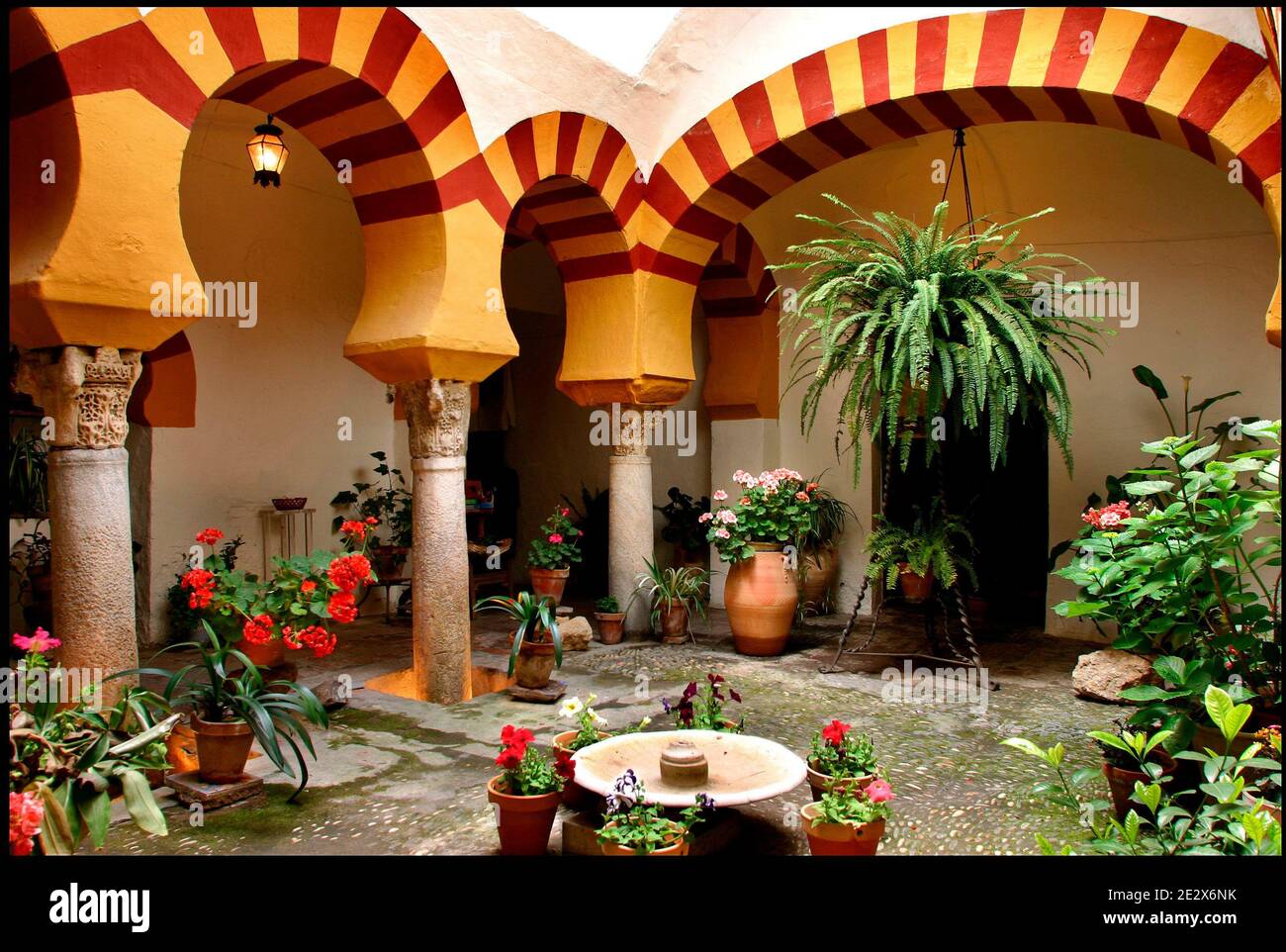 « patio » photographié à Cordoue, Espagne, le 2009 mai. Chaque mois de mai à Cordoue (Espagne), depuis 1918, est possible d'admirer le festival unique de jardins et de fleurs appelé 'Fiesta de los patios Cordobeses'. Chaque année, concourrez plus de 50 jardins, ou patios, pour le firts place et l'honneur d'être reconnu le plus beau jardin de Cordoue. Cette année, l'événement aura lieu entre le 5 et le 16 mai. Photo par Almagro/ABACAPRESS.COM Banque D'Images