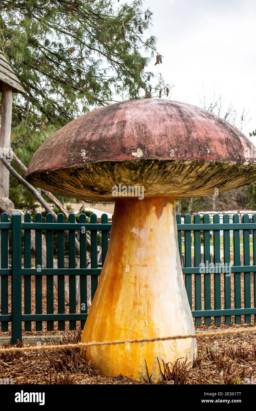 Genève, Suisse, mars 2019, Conservatoire et jardin botanique de la ville de Genève, exposition et collections de flore indigène Banque D'Images