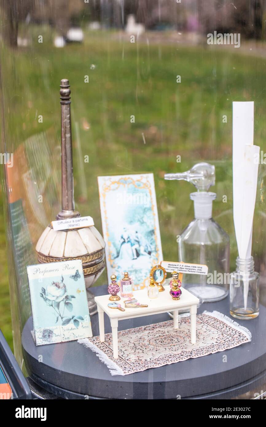 Genève, Suisse, mars 2019, Conservatoire et jardin botanique de la ville de Genève, exposition et collections de flore indigène Banque D'Images