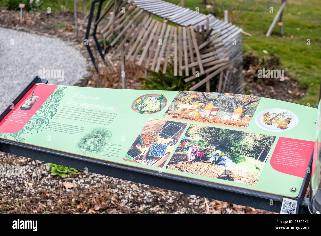 Genève, Suisse, mars 2019, Conservatoire et jardin botanique de la ville de Genève, exposition et collections de flore indigène Banque D'Images