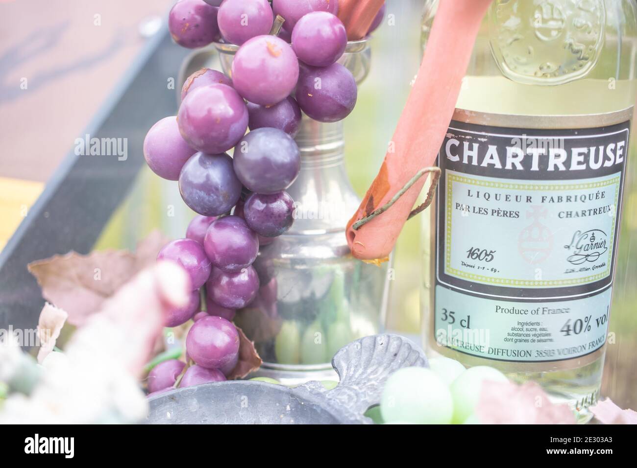 Genève, Suisse, mars 2019, Conservatoire et jardin botanique de la ville de Genève, exposition et collections de flore indigène Banque D'Images