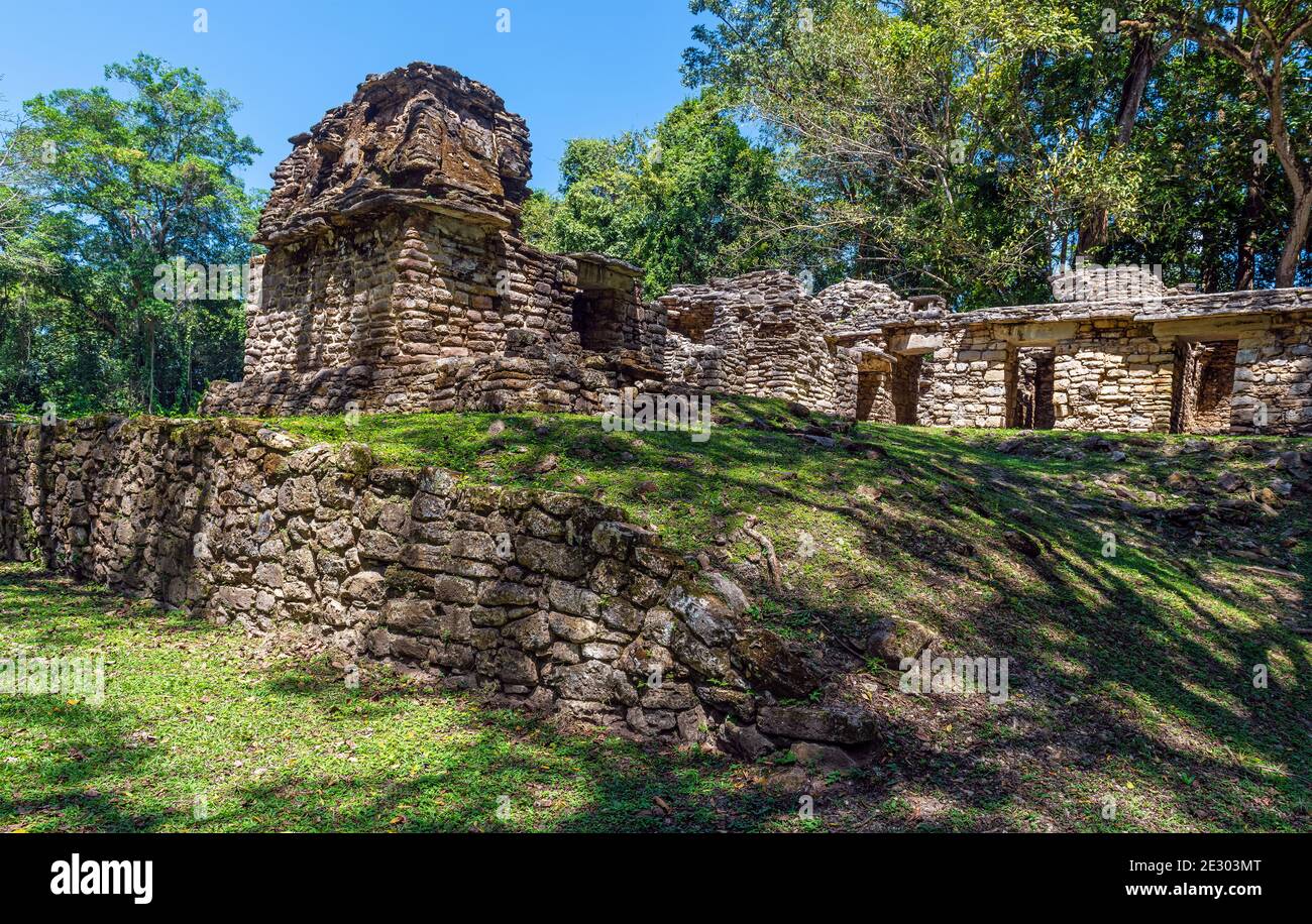 Maya ruine ville de Yaxchilan, Chiapas, Mexique. Mise au point sur la paroi de premier plan. Banque D'Images