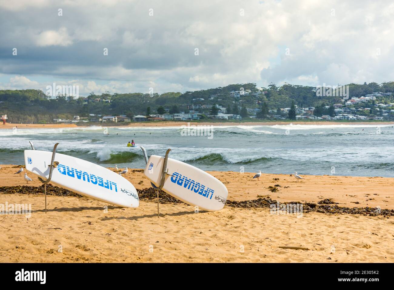 20 février 2020 - Avoca Beach NSW, Australie : planches de sauvetage sur la plage avec l'extrémité nord de la plage en arrière-plan. Banque D'Images
