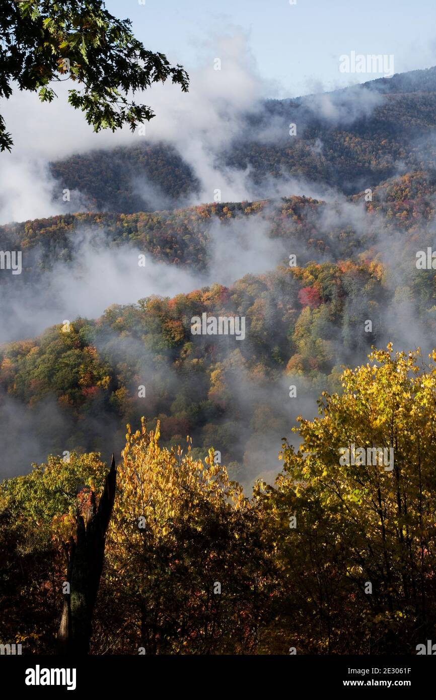 NC00190-00...CAROLINE DU NORD - la couleur d'automne et le brouillard montant vus de Webb surplombent la nouvelle route Gap Road dans le parc national des Great Smoky Mountains. Banque D'Images