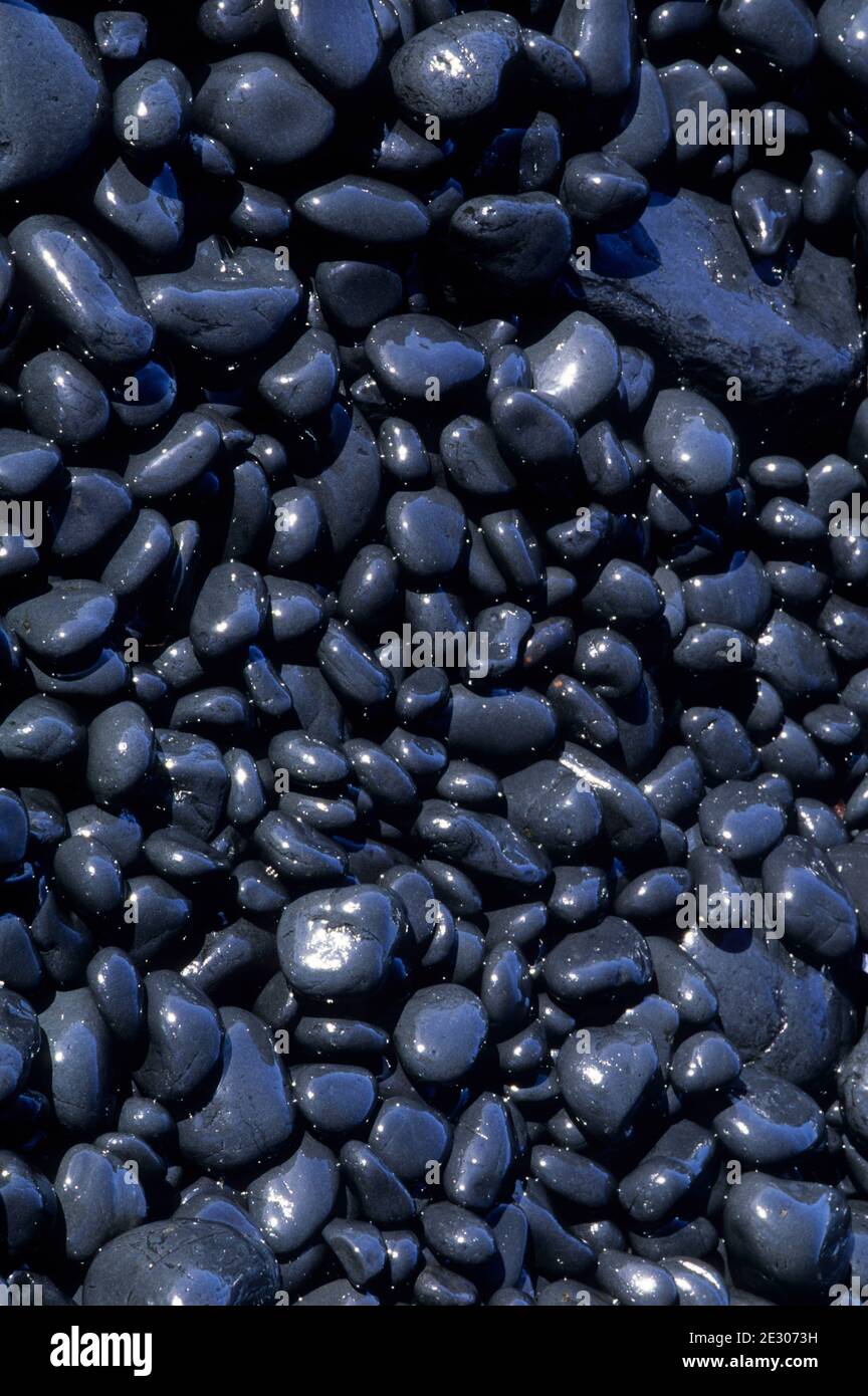 Cobble Beach pavés, Yaquina Head zone naturelle exceptionnelle, Newport, Oregon Banque D'Images