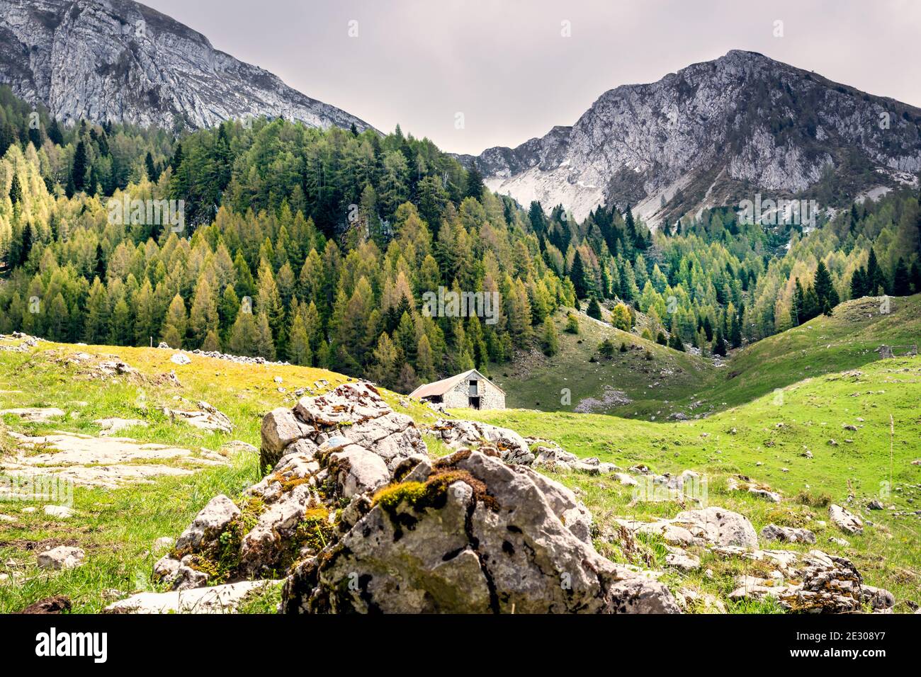 Paysage de montagne d'été. Prairies vertes et rochers. Forêt de sapins et ciel orageux. Refuge abandonné. Tambre, Alpago, Belluno, Italie Banque D'Images