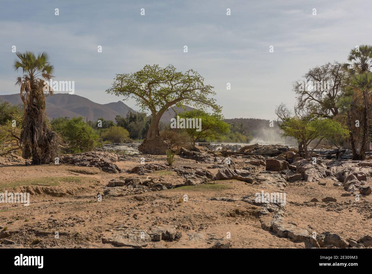 Paysage sur les rives du fleuve Kunene, la frontière entre la Namibie et l'Angola Banque D'Images