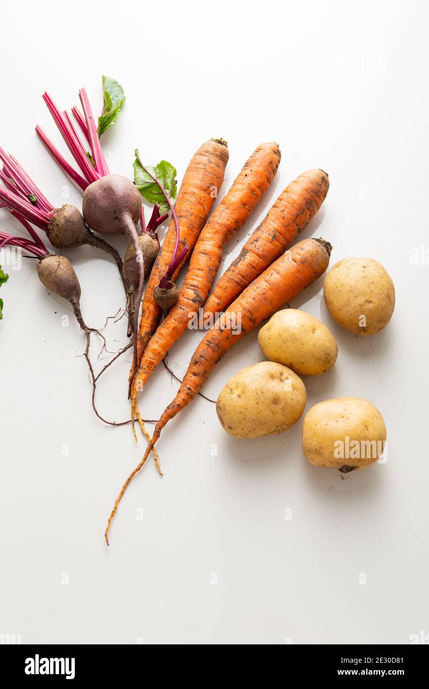 Les légumes d'automne racines des carottes, des betteraves et des pommes de terre sur une surface légère Banque D'Images