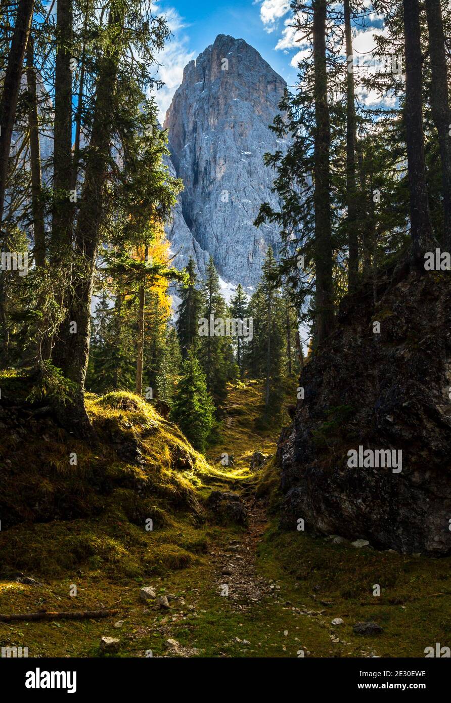 Vue sur le sentier menant au Glatschalm en automne. Vallée de Funes, Alpes des Dolomites, Trentin-Haut-Adige, Italie. Banque D'Images