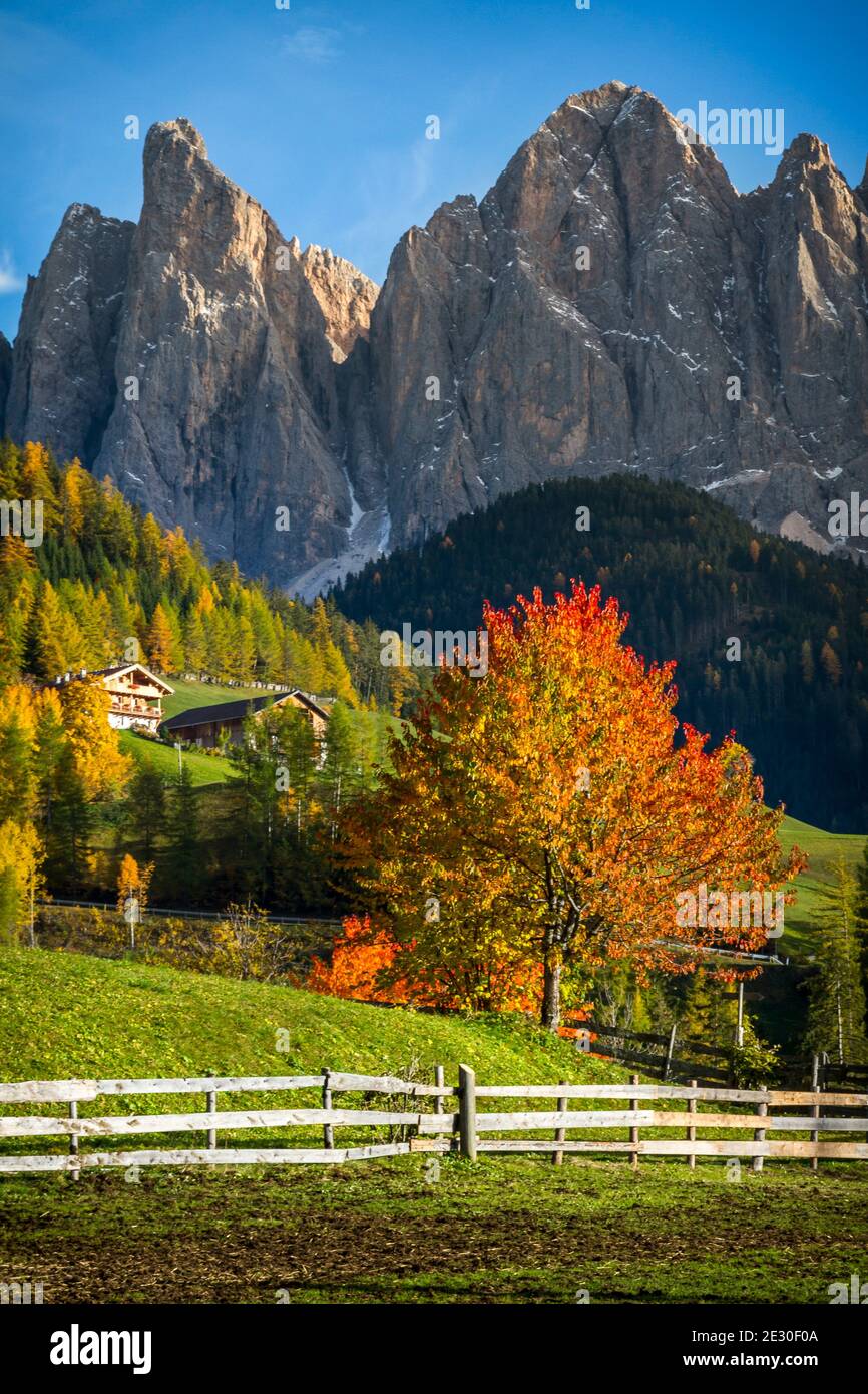 Vue sur les couleurs automnales près de la ville de Saint-Magdalena. Vallée de Funes, Alpes des Dolomites, Trentin-Haut-Adige, Italie. Banque D'Images