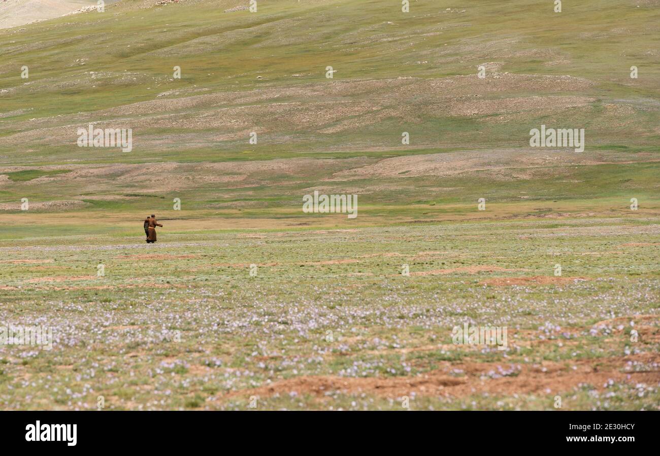 Deux mongoles marchant sur la steppe de Mongolie. Banque D'Images