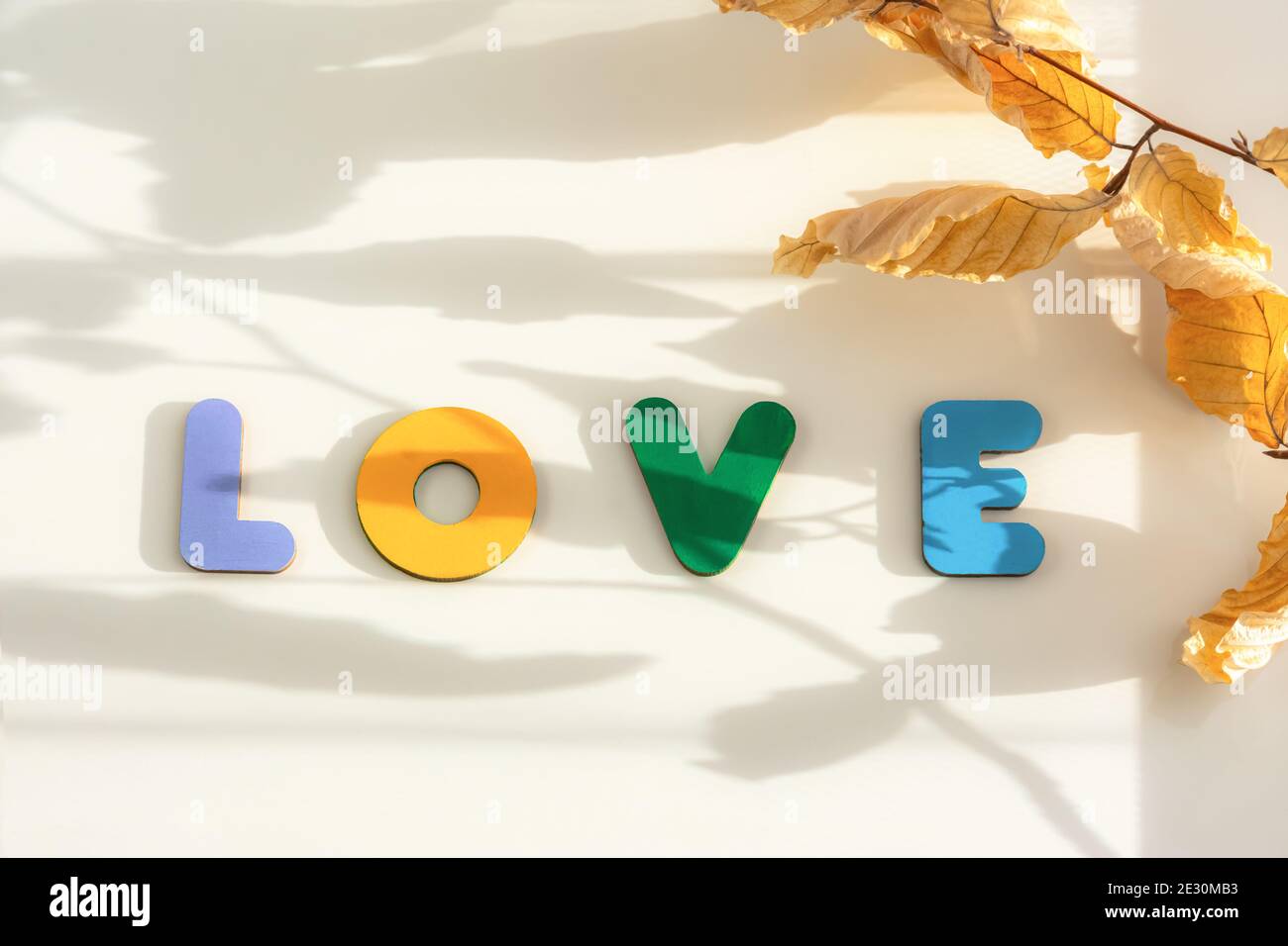 J'aime les lettres en bois sur un fond blanc avec de belles ombres d'une branche avec des feuilles. Composition créative pour la Saint-Valentin dans des tons pastel naturels Banque D'Images