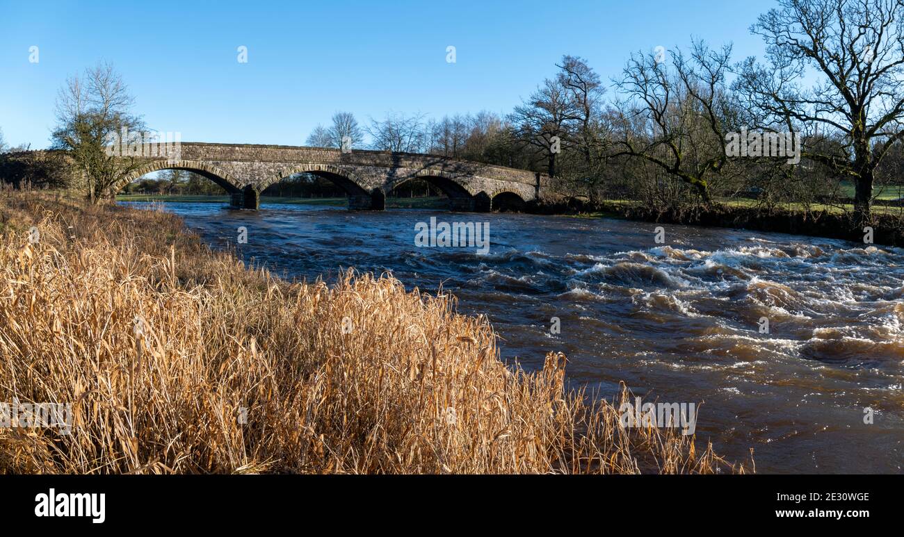 River Ribble à Horrocksford Bridge, Clitheroe, Ribble Valley, Lancashire, Royaume-Uni Banque D'Images