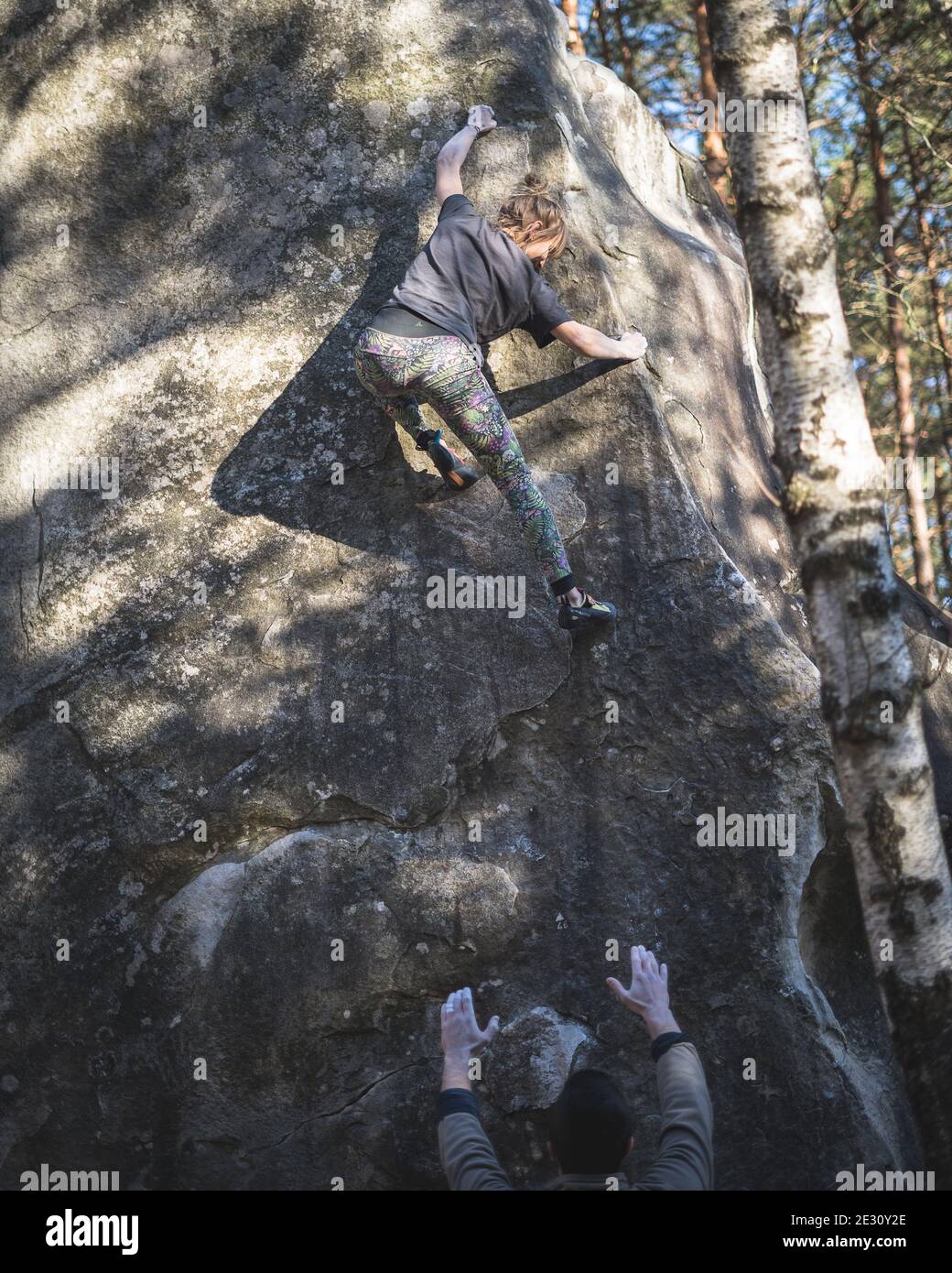 Une femme grimpeur qui se déchèbre à l'extérieur sur les rochers de grès de Fontainebleau en France Banque D'Images